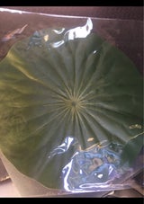 秀〆 ハスの葉 M-1