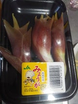 JA全農しまね  島根県産みょうが