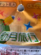 全日本 佐野新月旅行