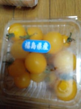 岡崎 ミニとまと黄色 1P