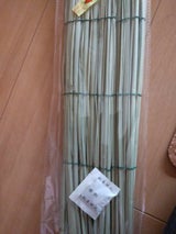 加藤 まこも 45X25cm