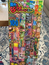 稲垣屋 花火 変色ながいぞ LL