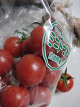 JAいしのまき ミニとまと 1P