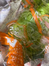 日本ガスアグリ すごい野菜 グリーンリーフ