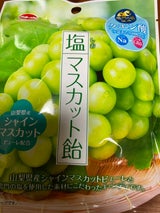 加藤製菓 塩マスカット飴 63g