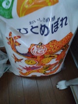 宮城ライス 宮城県産ひとめぼれ 10kg（宮城ライス）の口コミ・レビュー