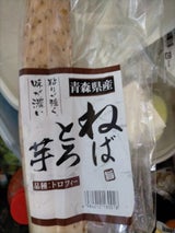 丸越 ながいも 1P