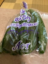 高山 飛騨の胡瓜 1P