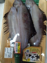 橋本 なめたかれい 2枚