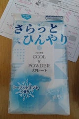 さらっとひんやりシートシーソルトミント大判 25枚