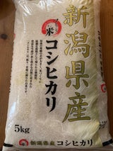 坂本 新潟産こしひかり 5kg
