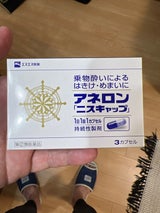 アネロン「ニスキャップ」 3カプセル