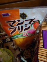 堀川 甘味点心 マンゴープリン 500g