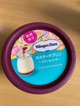 ミニカップ カスタードプリン 110ml