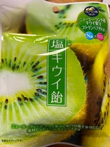 加藤製菓 塩キウイ飴 63g