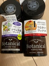 ネイチャーモード ボタニカルCワックスGN 72g