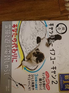 猫壱　キャッチミーイフユーキャン２　猫のお庭の商品写真