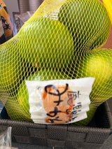 ダイプラ 鹿児島産みかん用袋