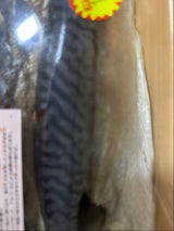 飯岡屋 老舗の味さばフィレ 3枚