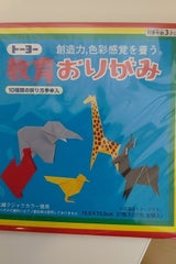 教育折り紙