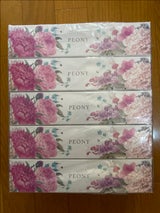 アスト ピオニーティシュ 5箱