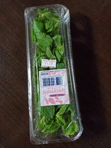 共立リビング スペアミント