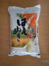 武蔵 山形県産はえぬき 5kg