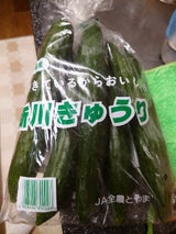 富山 きゅうり