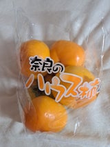 JA奈良 ハウス刀根柿スタンドパック 1P