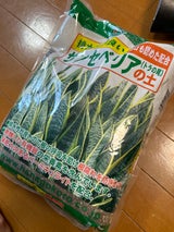 花ごころ サンセベリアの土 5l