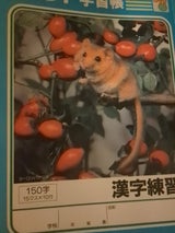 文運堂 セレクト学習帳 漢字150字