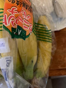 日本フレッシュ　サニーランドバナナ　フレスカーナのレビュー画像
