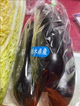 JA栃木 長茄子 1P