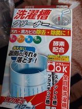 富士 洗たく槽クリーナー 180g