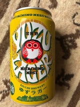 常陸野ネスト ゆずラガー 缶 350ml