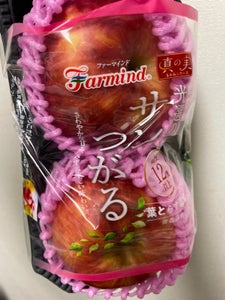 フレッシュリミックス サンつがる 4Pのレビュー画像