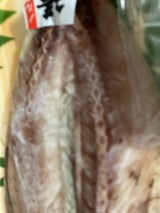 山尾 寒鯖一夜干