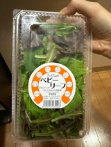 まほろ馬 ベビーリーフ 20g