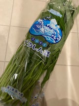 ピュアグリーン 空心菜 150g