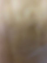 酪王乳業 農協プリン 78g×3