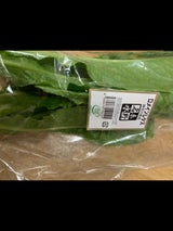 グランパF ロメインレタス