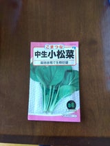 宇都宮 小松菜