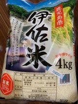 ウノキ 伊佐ひのひかり 4kg