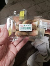 マルト みょうが