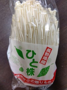 飯山中央　えのき　１株のレビュー画像