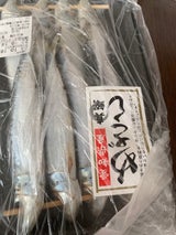 まるに 愛知県産まいわし目刺中メ 8尾