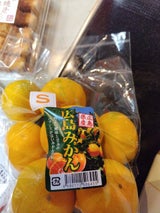 カネイ みかん 広島みかん