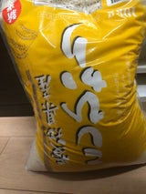 ハラキン 愛知県産コシヒカリ 10kg
