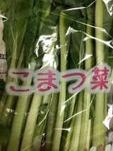 東神 こまつな茨城県産 1P