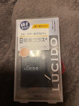 ルシード フェイスカバーコンパクト01 4g